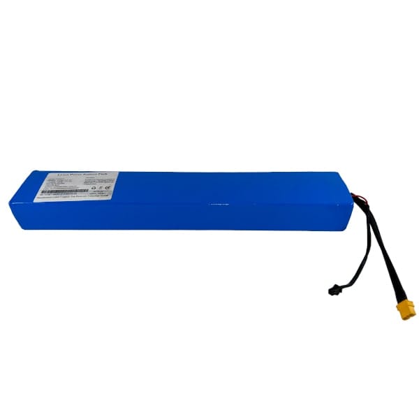 Alvoron X Kugoo Infinity  Pro Batterie - Hochwertiges Lithium-Ionen 18650 Akkupack, 36V 10Ah, Original Ersatzteil